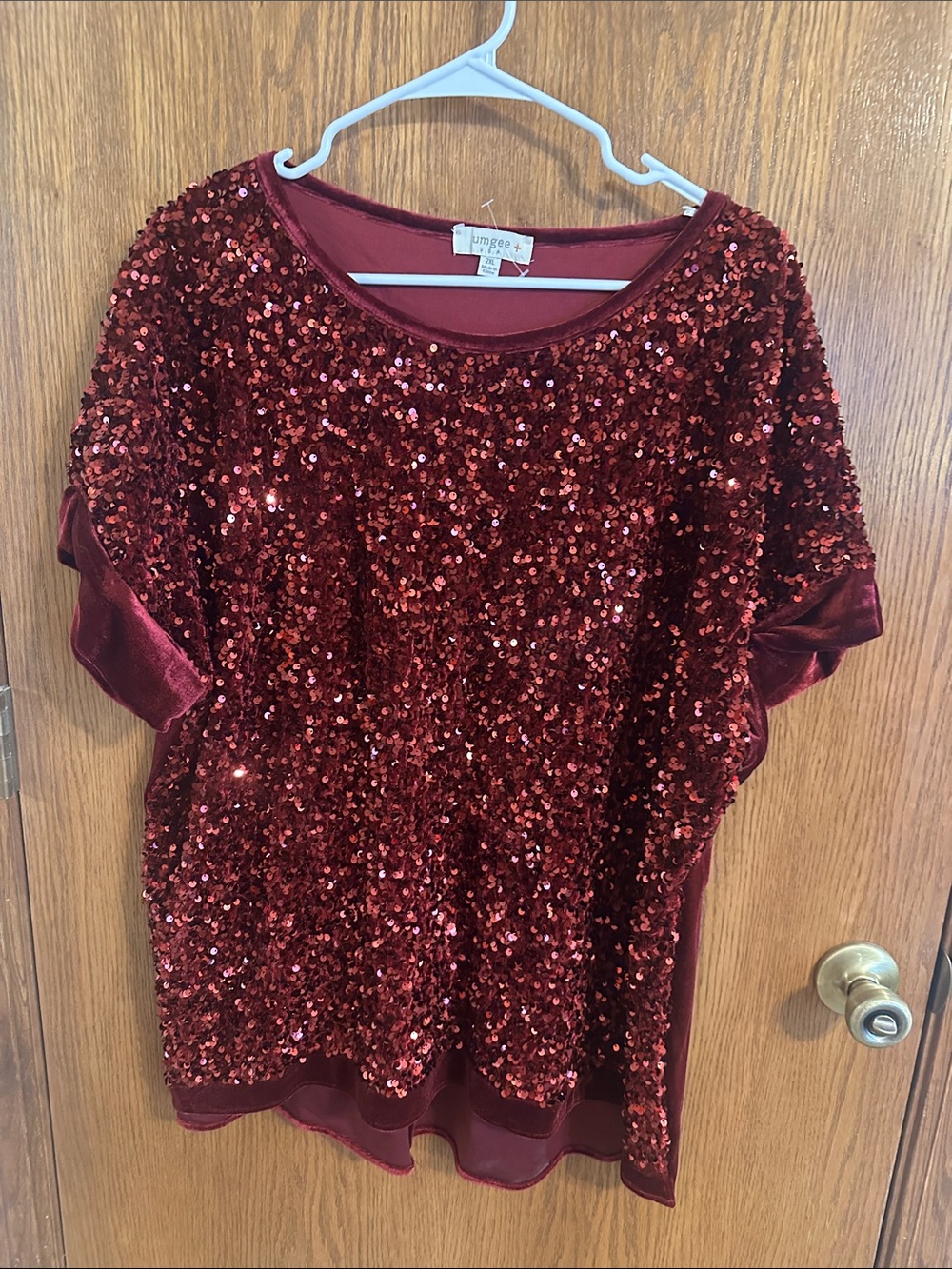 Umgee Sparkling Wine Sequin Blouse